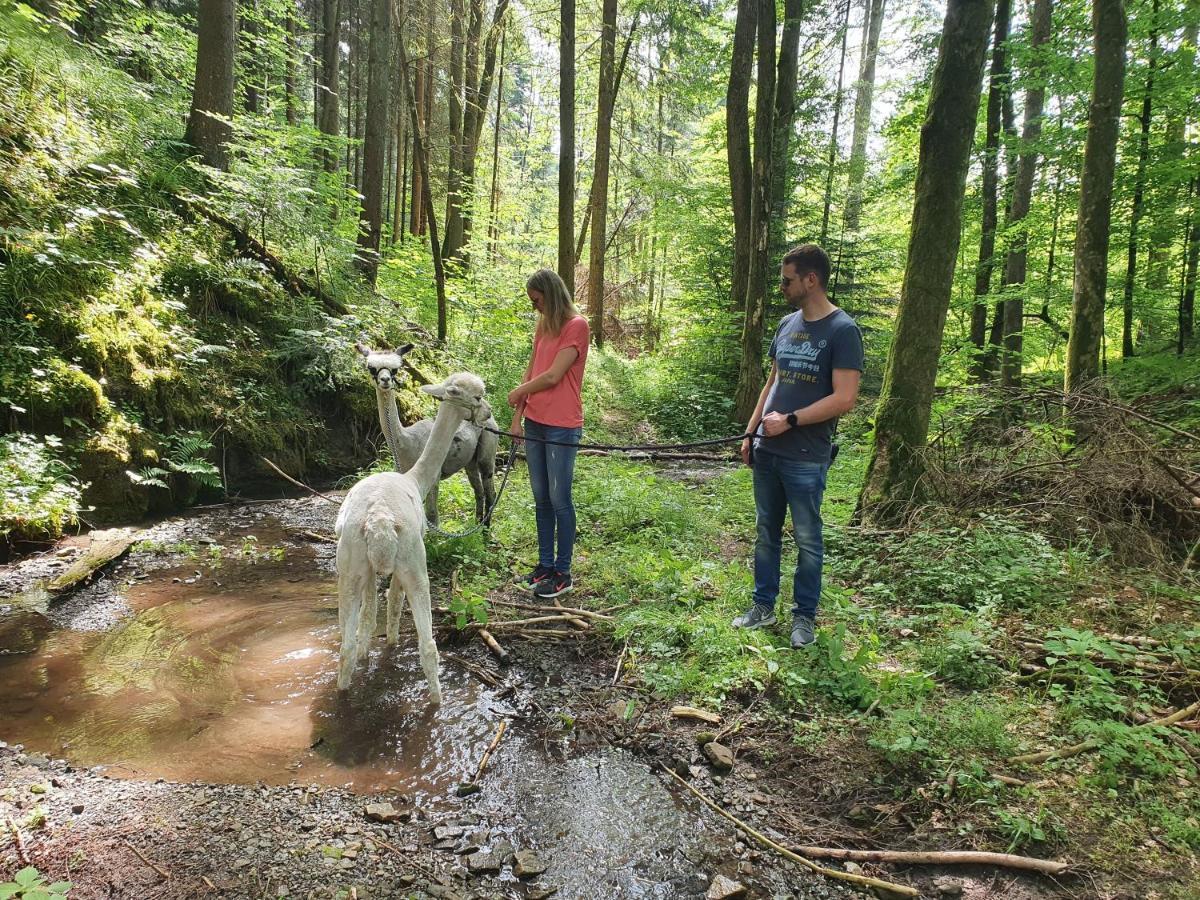 Lana Salta Alpakas - Gemuetliche Ferienwohnungen Auf Dem Bauernhof Murrhardt Exteriör bild