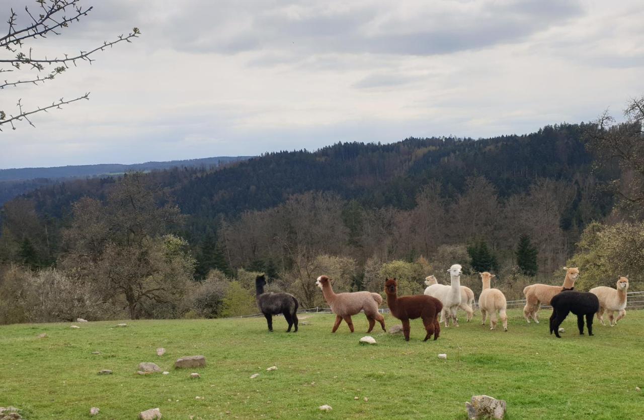 Lana Salta Alpakas - Gemuetliche Ferienwohnungen Auf Dem Bauernhof Murrhardt Exteriör bild