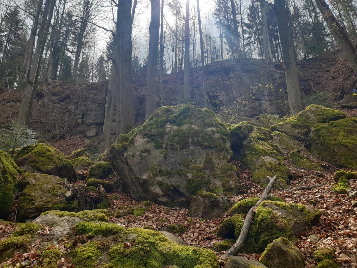 Lana Salta Alpakas - Gemuetliche Ferienwohnungen Auf Dem Bauernhof Murrhardt Exteriör bild