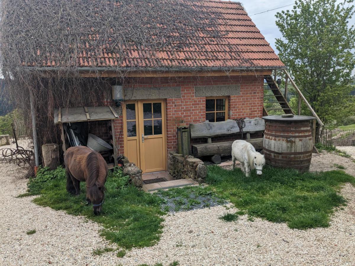 Lana Salta Alpakas - Gemuetliche Ferienwohnungen Auf Dem Bauernhof Murrhardt Exteriör bild